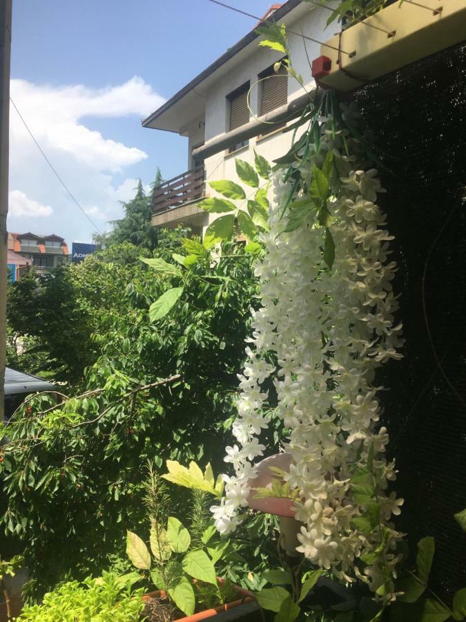 Ani Apartment โอครีด ภายนอก รูปภาพ